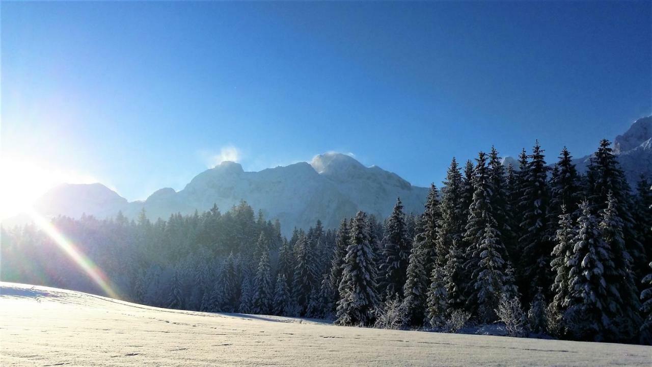 Haus Reiter Lägenhet Abtenau Exteriör bild