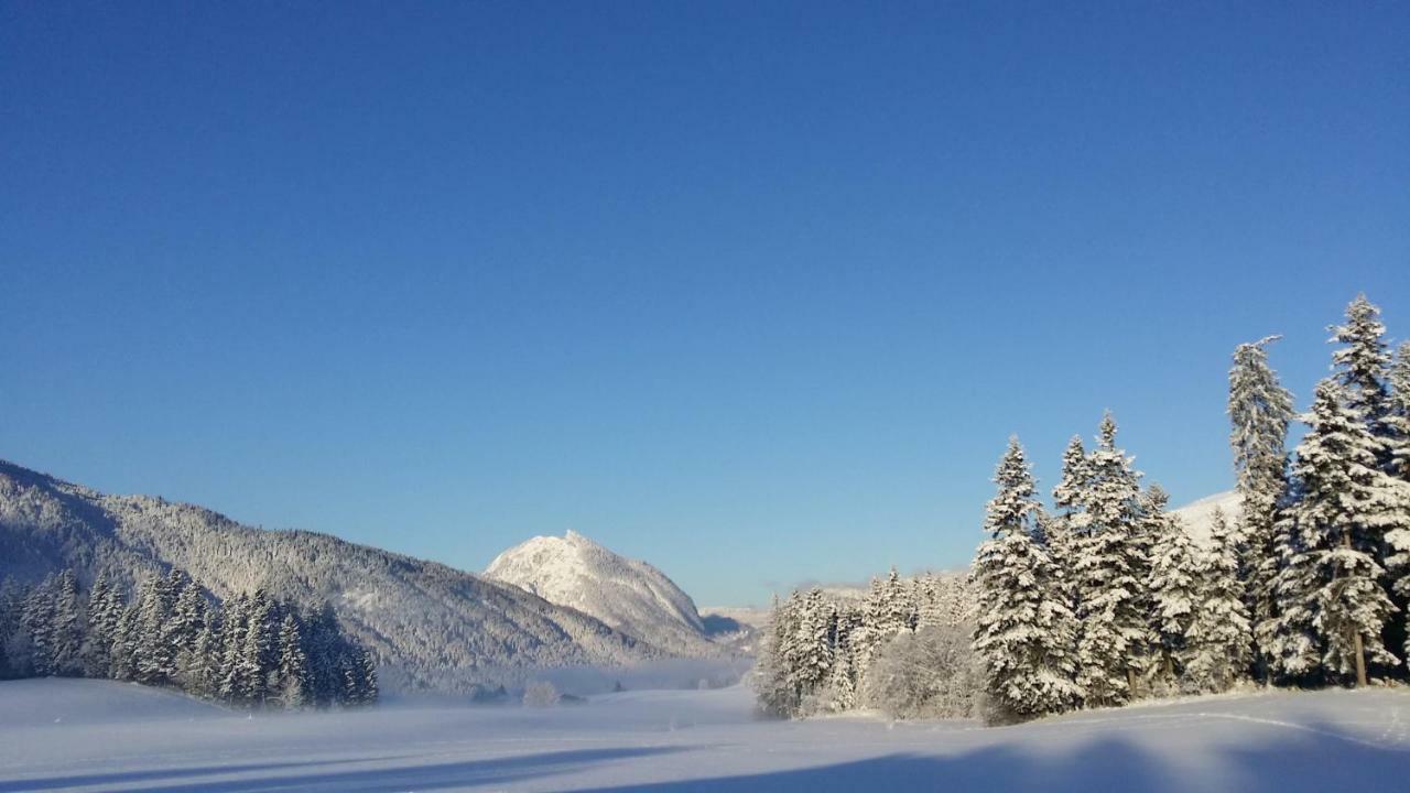 Haus Reiter Lägenhet Abtenau Exteriör bild